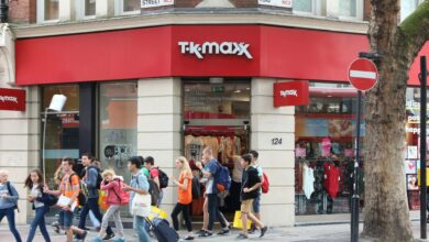 Fashionistas rush to TK Maxx to get their hands on a knock-off designer bag – that’s £310 cheaper