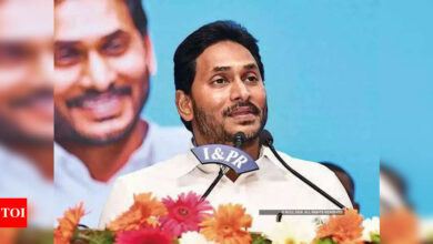 Former Andhra Pradesh CM Jagan Mohan Reddy booked in attempt to murder case | India News – Times of India