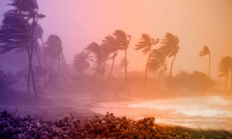 Hurricane Checklist: 7 Steps to Take Before a Storm Hits