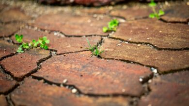 I swear by an Amazon purchase to make your patio shine – it repels algae and mold