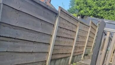 I tried the viral sponge fence paint trick and I do not recommend it