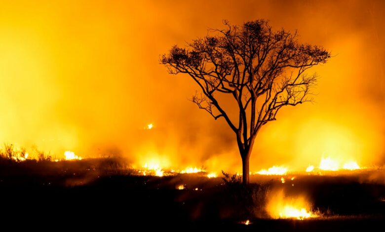 This free new warning system helps you prepare for extreme heat