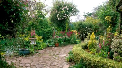 I’m a gardening expert – shower curtains are tacky and don’t copy the viral lawn trend