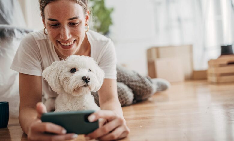 The Best Home Pet Cameras in 2024