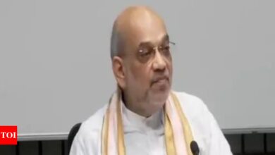 Local government provides all possible treatment to injured: Amit Shah on Unnao accident | India News – Times of India