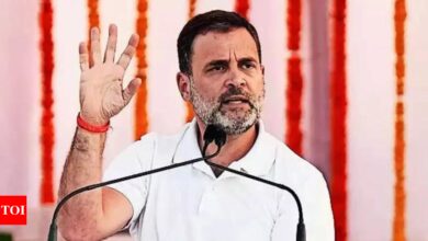 My ‘Bharat Jodo Yatra’ was inspired by Rajasekhara Reddy’s 2003 yatra through Andhra: Rahul Gandhi | India News – Times of India