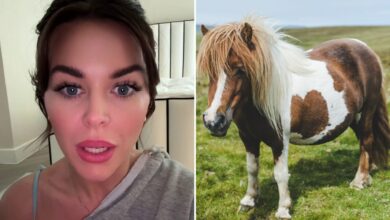 My ex’s mother said I looked like a pony – she made me WEIGH myself in front of her