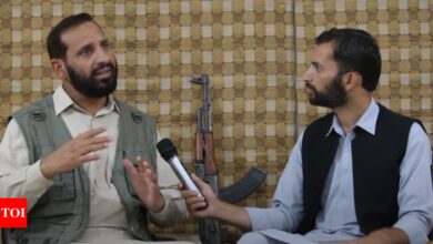 Pakistani news channel airs interview with Hizbul Mujahideen commander amid rising terror attacks in J&K | India News – Times of India