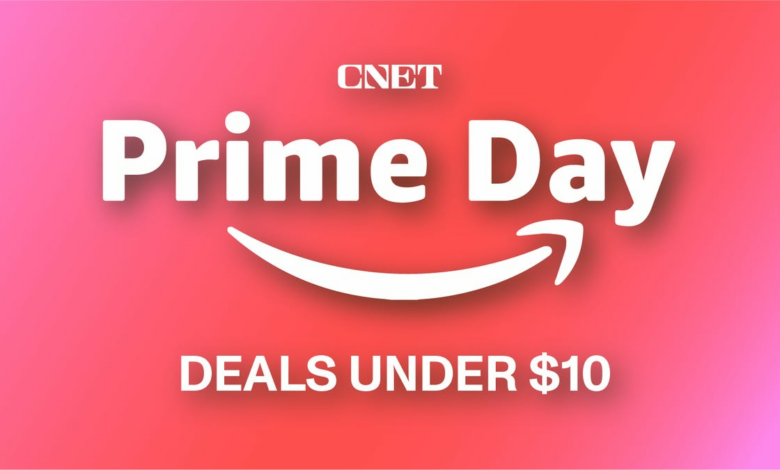 Prime Day Steals Under : 21 Unbeatable Bargains at Rock-bottom Prices