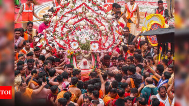 Puri Rath Yatra: Lord Balabhadra idol falls on servants, 9 injured | India News – Times of India