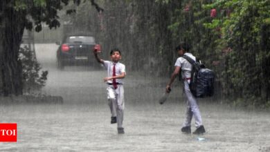 Rainfall deficit drops to 2.3%, heavy showers soon, says IMD | India News – Times of India