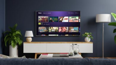 Roku’s advertising director wants to bring Instagram-style shoppable ads to your smart TV