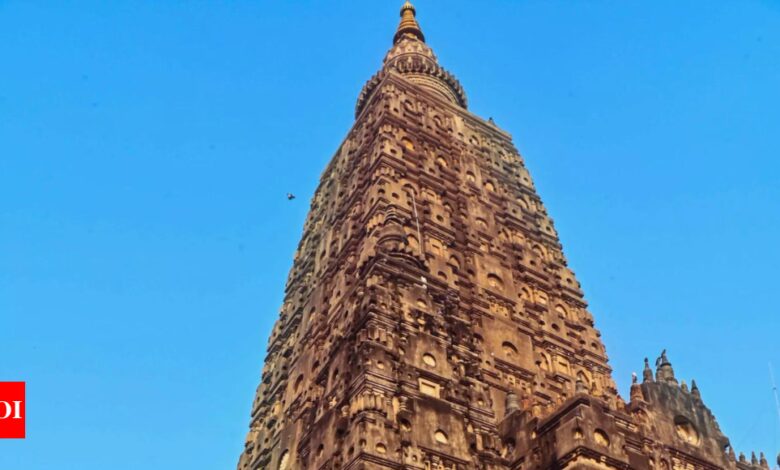 Satellite images reveal architectural richness beneath Bodh Gaya shrine | India News – Times of India