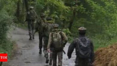 Searches for suspicious border movements amid Kathua hunt | India News – Times of India