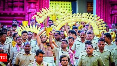 Snake fear in Puri Ratna Bhandar |  India News – Times of India