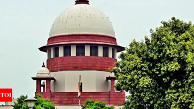 Supreme Court Justice Sanjiv Khanna declines to consider review petitions on gay marriage | India News – Times of India