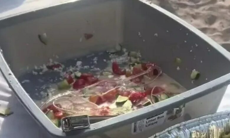 ‘That’s disgusting,’ people say when woman sees ‘dirty’ detail at wedding buffet