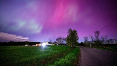 The Northern Lights Are Returning: How to See the Aurora Borealis This Week