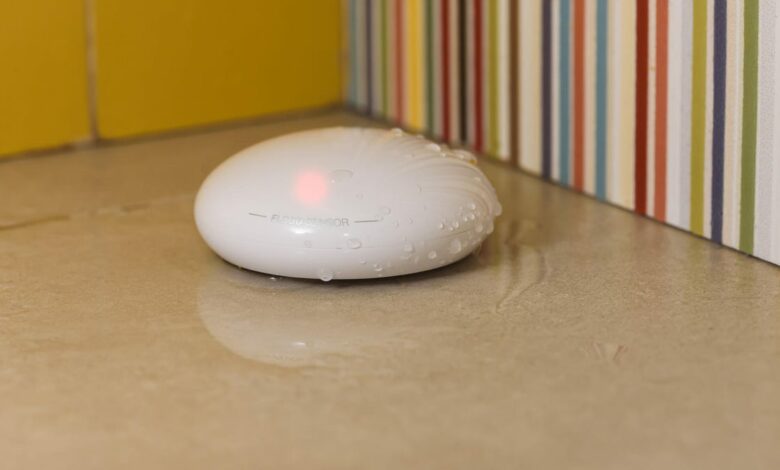 The secret hero of home safety is the humble leak detector