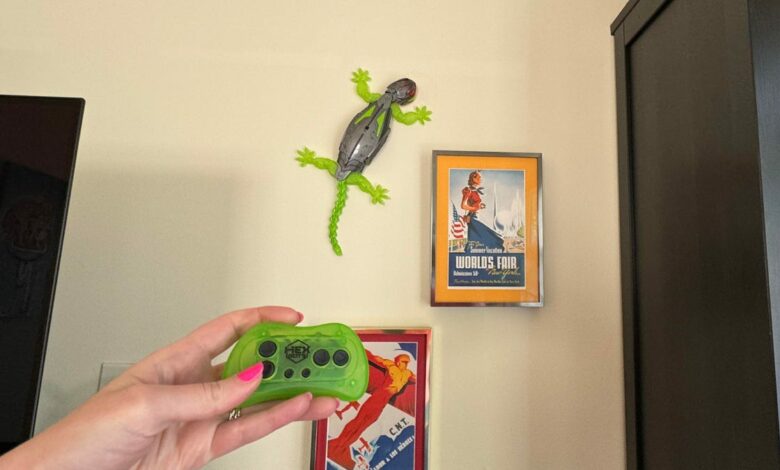 This wall climbing robot lizard is one of my favorite indoor toys