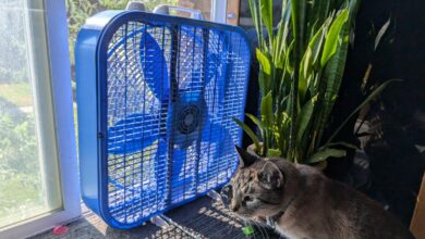 This handy trick keeps my bedroom cool without having to turn up the air conditioning