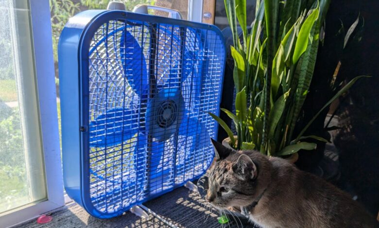 This handy trick keeps my bedroom cool without having to turn up the air conditioning