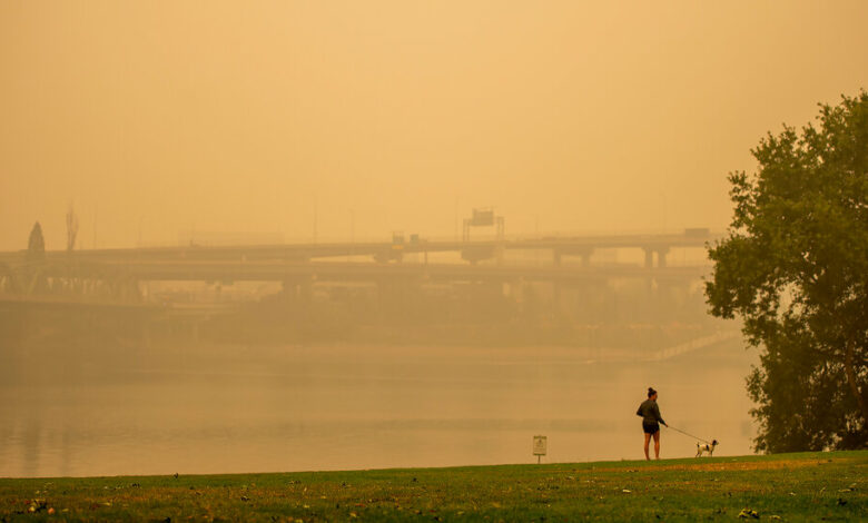 How to Protect Yourself from Wildfire Smoke