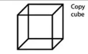 Would YOU pass the cognitive test Joe Biden refuses to take? Try it as pressure mounts on the president