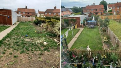 ‘You did an amazing job,’ people shout as mother of four shows off her garden transformation