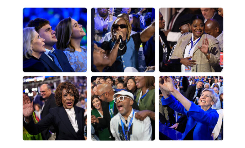 Celebrities and famous faces in the audience at the Democratic Convention