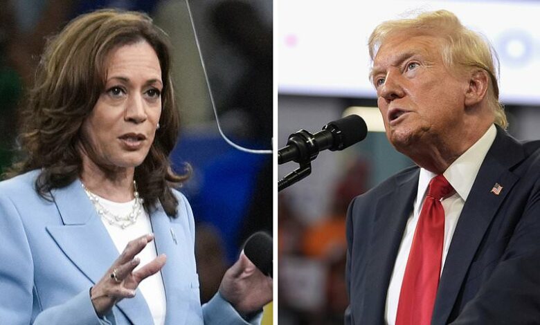 Kamala Harris ‘narrows her choice for VP to two contenders’