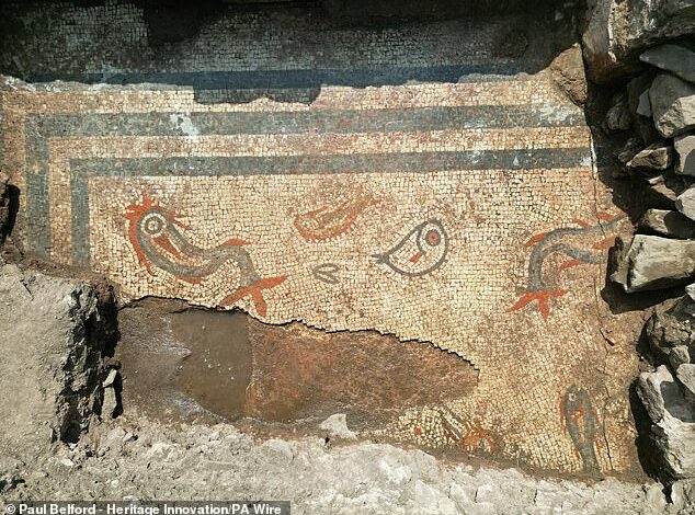 ‘An aquarium frozen in stone’: Stunning 2,000-year-old mosaic of dolphins and fish discovered at Wroxeter Roman City in Shropshire