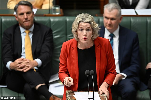 Blundering minister Clare O’Neil is left red-faced in a car crash in Question Time, just days after starting her new job: her word salads couldn’t save her from an embarrassing mistake, writes PETER VAN ONSELEN