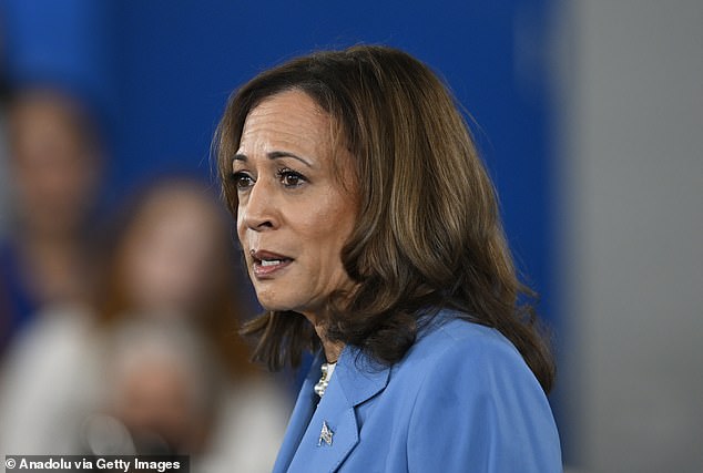 Internet divided after Kamala reveals secret guilty pleasure that helped her through ‘shock and dismay’ of 2016 election results