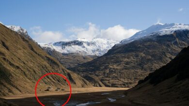 Inside New Zealand’s incredible luxury lodge, tucked away in a remote glacial valley that can ONLY be reached by helicopter