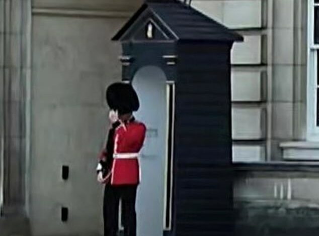 Moment Buckingham Palace guard slips and lands on his bottom while on duty – before returning to his post as if nothing happened