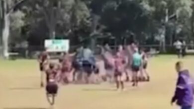 Bankstown Balls v Cabramatta: Wild brawl between spectators