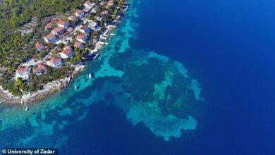 Scientists make ‘astonishing’ discovery while investigating 7,000-year-old underwater city