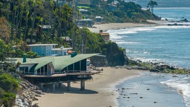 Inside the iconic ‘wave’ Malibu party pad once owned by Rod Stewart and Madonna’s producer as supermodel Karli Kloss and husband Joshua Kushner snap it up for .5million