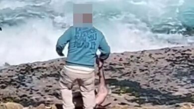 Why footage of this fisherman holding a shark on rocks has caused outrage