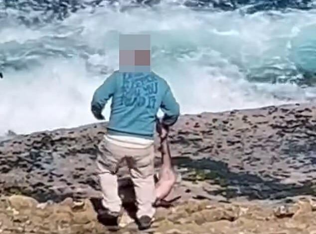 Why footage of this fisherman holding a shark on rocks has caused outrage