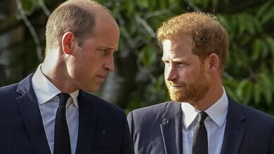 Duke of Sussex asks former advisers for help planning RETURN from US exile in first phase of ‘rehabilitation’ strategy: Friends of Prince pledge to help pave the way back, calling it ‘Operation Bring Harry in from the Cold’