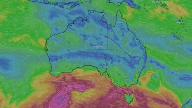 Weather in Sydney, Brisbane, Melbourne: dangerous winds and summer temperatures