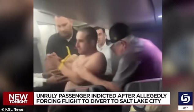 American Airlines passenger from Seattle to Dallas tries to open door in mid-air after eating 10 edible cannabis products