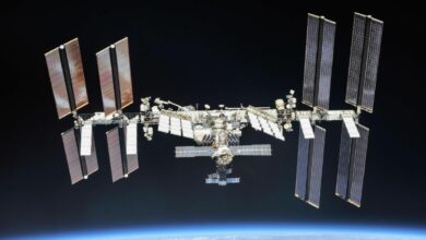 Astronauts Stuck in Space: The Challenges and Solutions