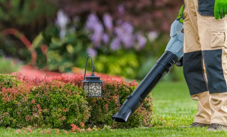 Best Leaf Blowers for 2024