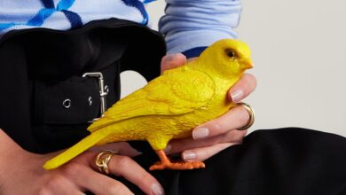 Bizarre celebrity clutch looks like you’re carrying a plastic bird