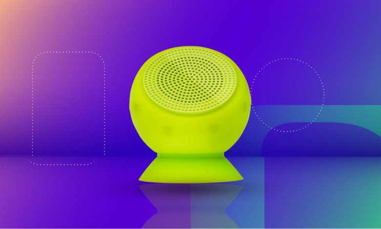 Buy this Pickleball speaker from QVC now for just 