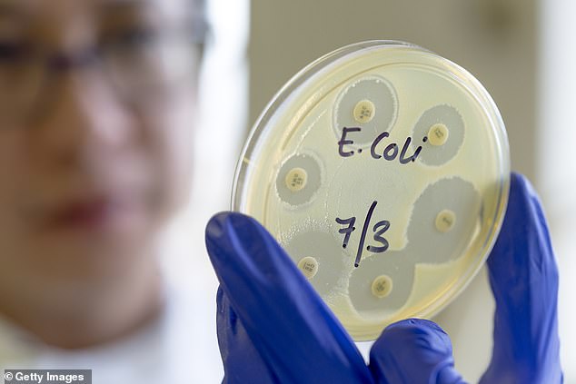 E.coli on the rise as infections rise by more than 4,000 a year, new data shows – amid concerns over Britain’s contaminated water supply