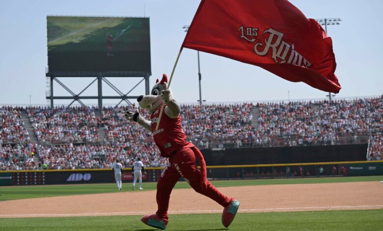 As MLB veterans head south for money and opportunity, the Mexican League has its moment